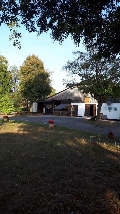 Ferienhof Papiermühle Hofgeismar Exterior foto
